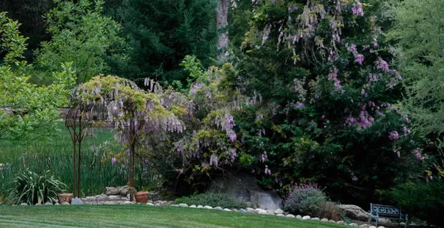 $1,299,900 | 581 Cold Springs Road, Placerville, CA 95667