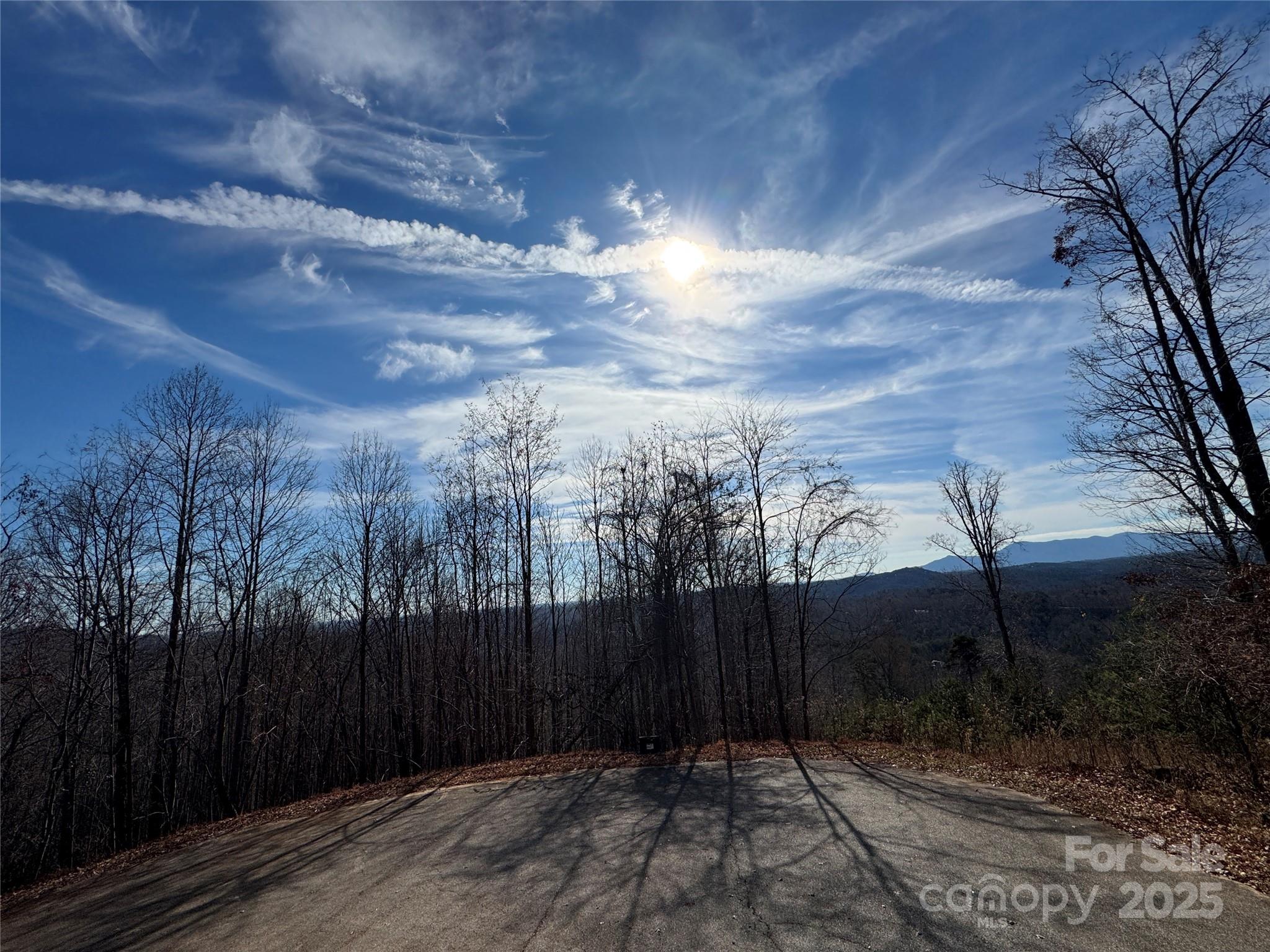 0 High Rock Ridge, Unit 22 Lake Lure, NC 28746 - Photo 2 of 15 a view of a backyard