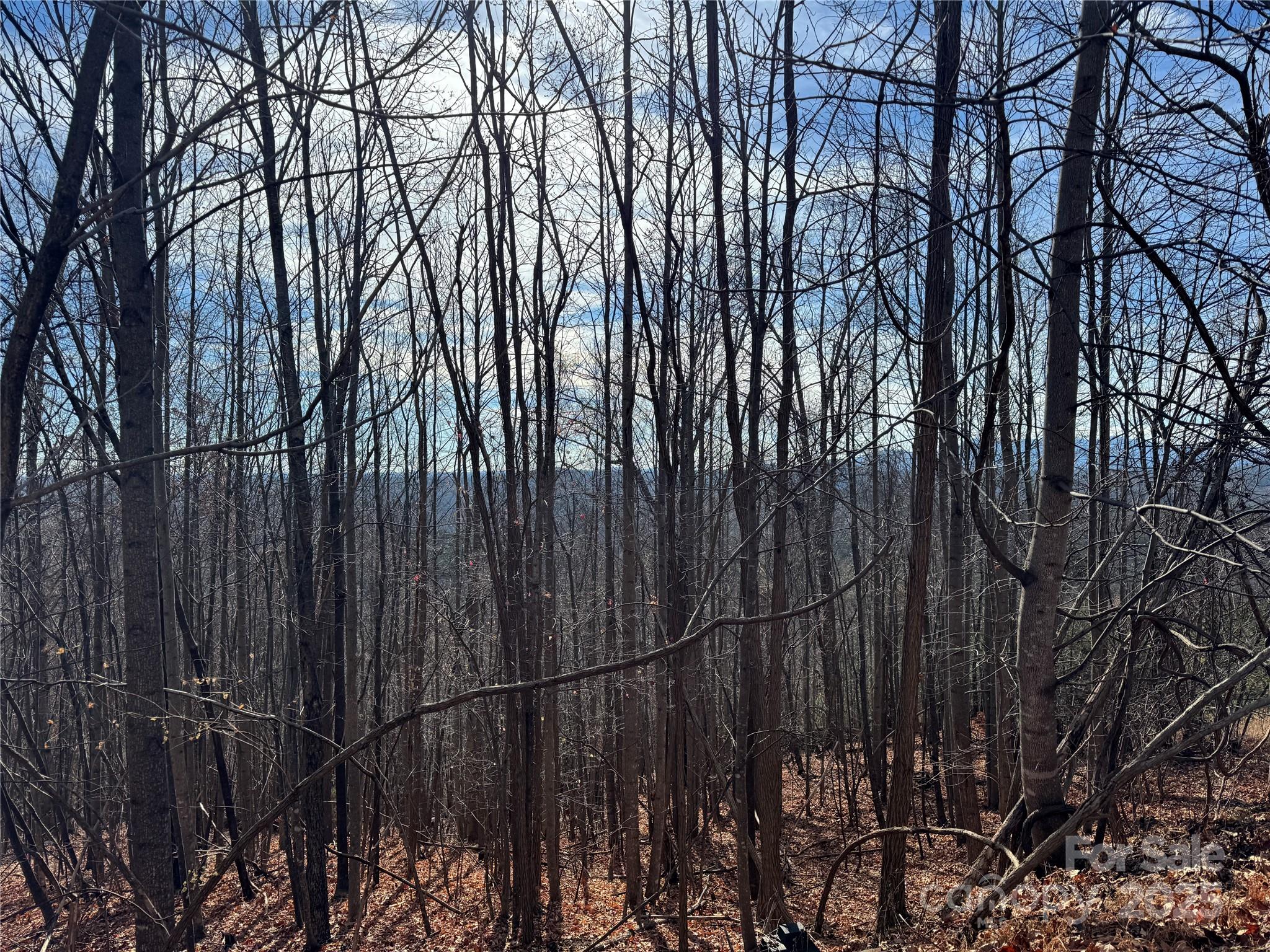 0 High Rock Ridge, Unit 22 Lake Lure, NC 28746 - Photo 5 of 15 a view of outdoor space with a wooden fence