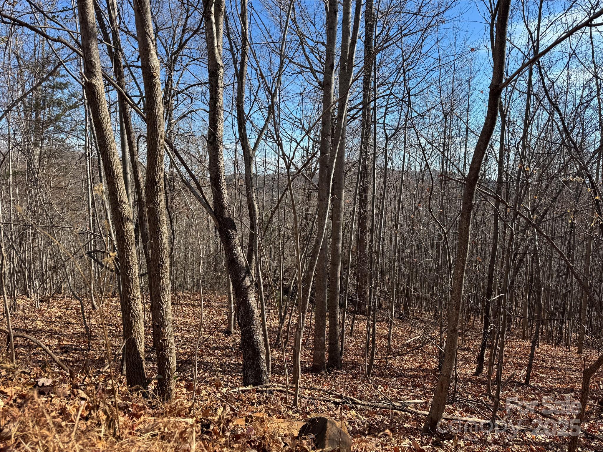 0 High Rock Ridge, Unit 22 Lake Lure, NC 28746 - Photo 6 of 15 a view of a forest