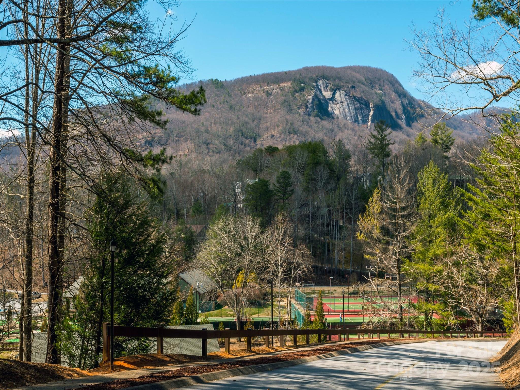 0 High Rock Ridge, Unit 22 Lake Lure, NC 28746 - Photo 9 of 15 a view of a street with houses