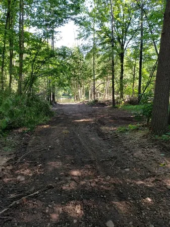 $45,100 | Blue Vista Drive, Evart, MI 49631