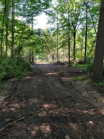 $45,100 | Blue Vista Drive, Evart, MI 49631