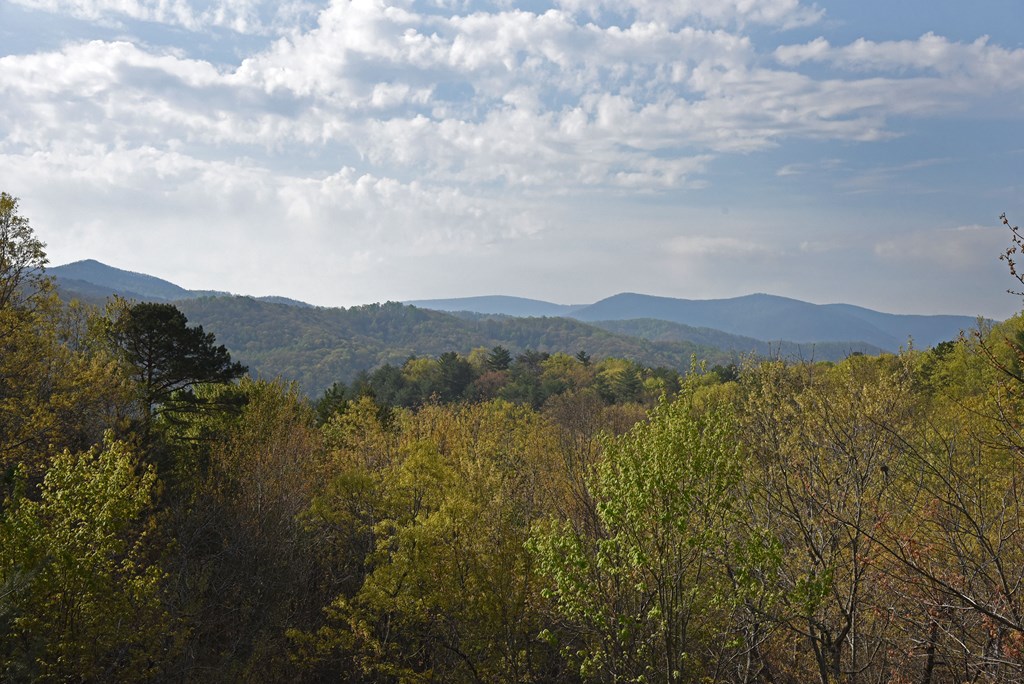 77 Walhala Trail Blue Ridge, GA 30513 - Photo 13 of 51 Gallery Image 13