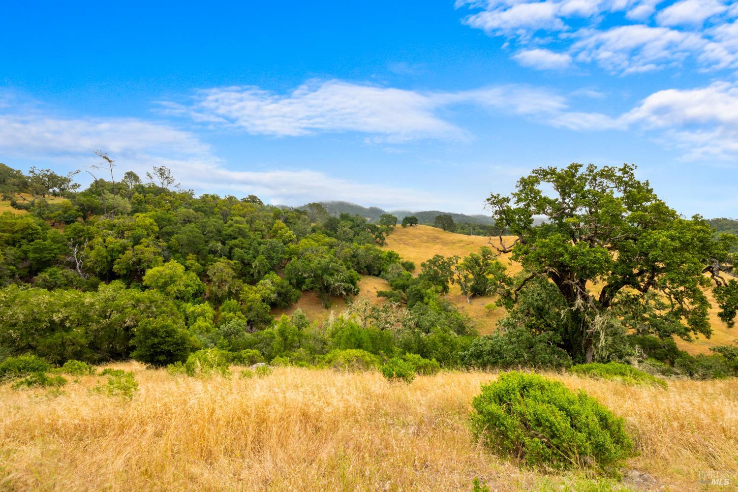 23655 Vineyard Road Geyserville, CA 95441 - Photo 25 of 38
