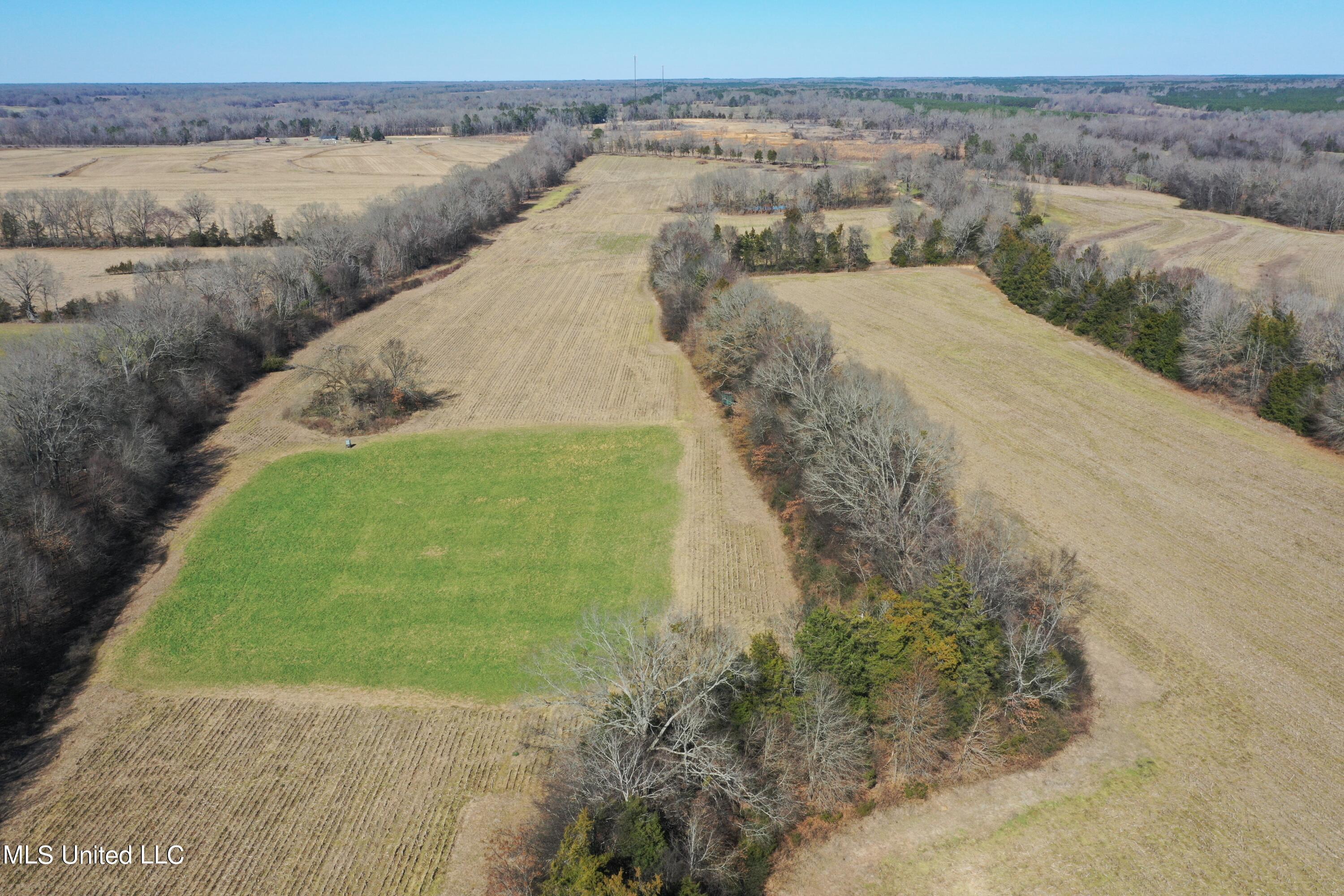 Slayton Rd Road Benton, MS 39039 - Photo 3 of 21 DJI_0109