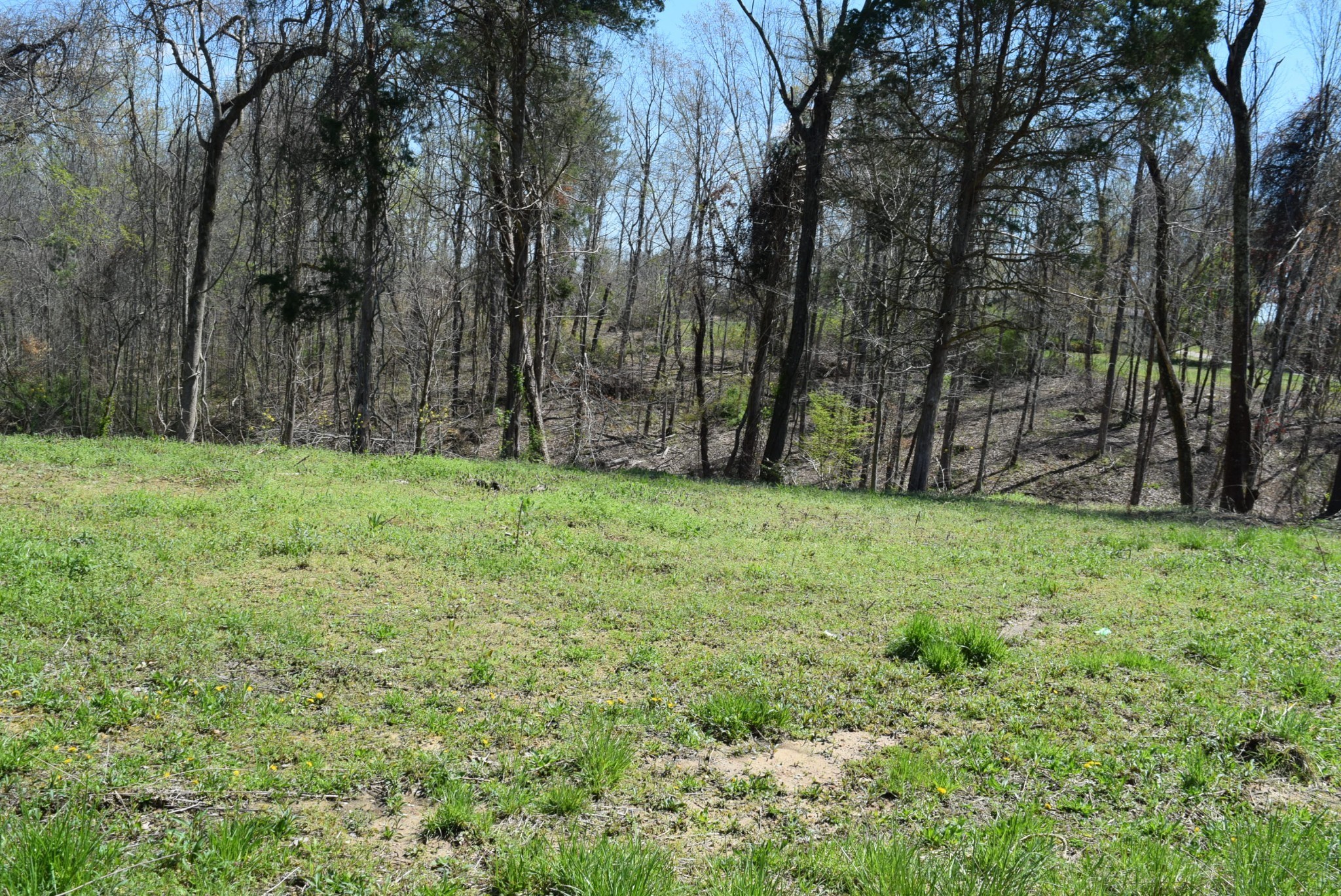 2 Sunset Point Road McMinnville, TN 37110 - Photo 3 of 7 Gallery Image 3