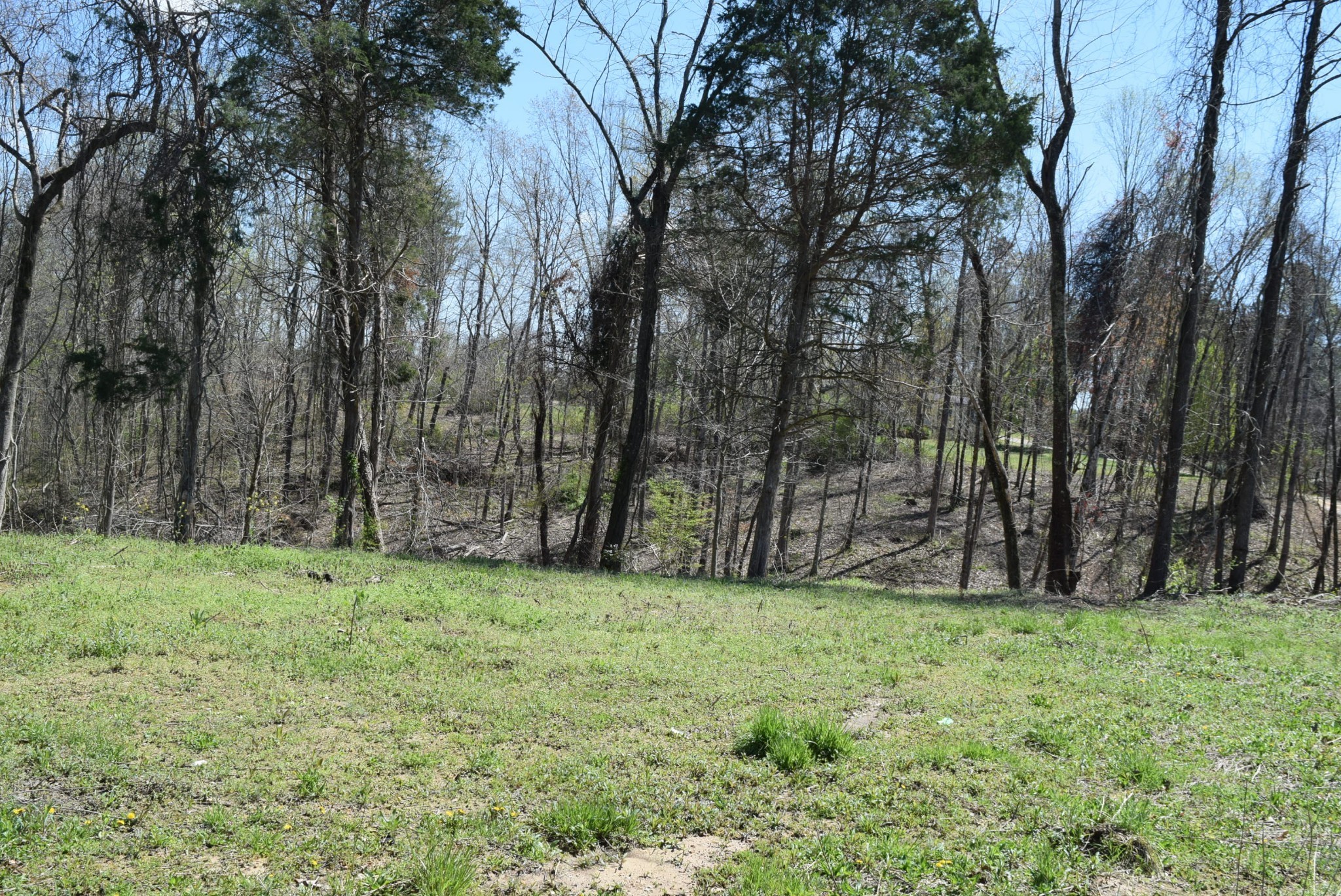 2 Sunset Point Road McMinnville, TN 37110 - Photo 4 of 7 Gallery Image 4
