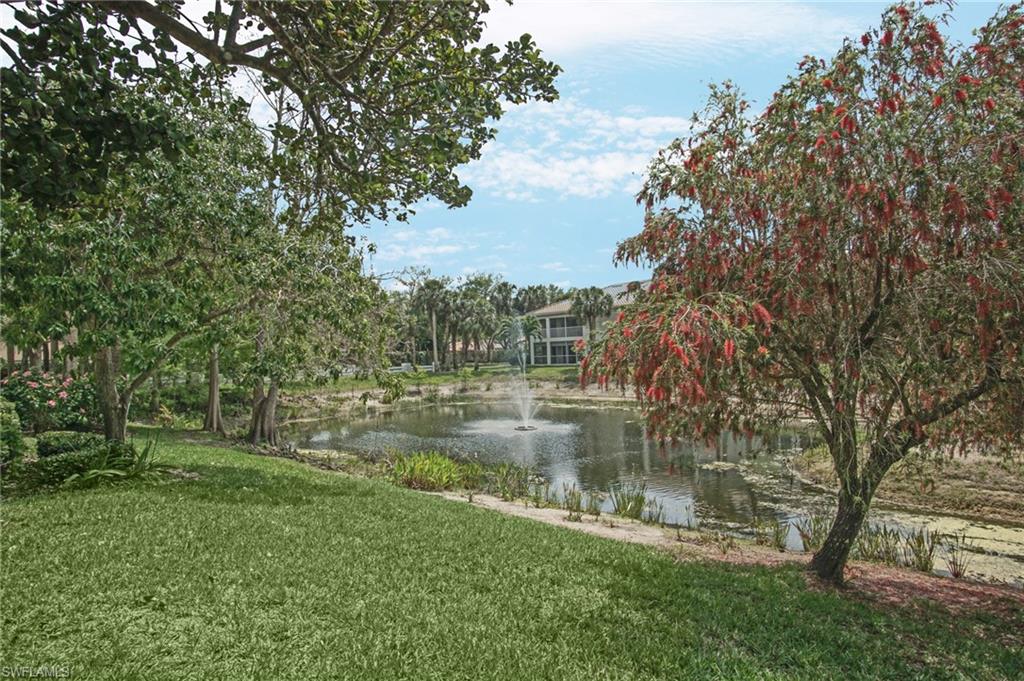 6910 Satinleaf Road North, Unit 204 Naples, FL 34109 - Photo 24 of 31 View of water feature