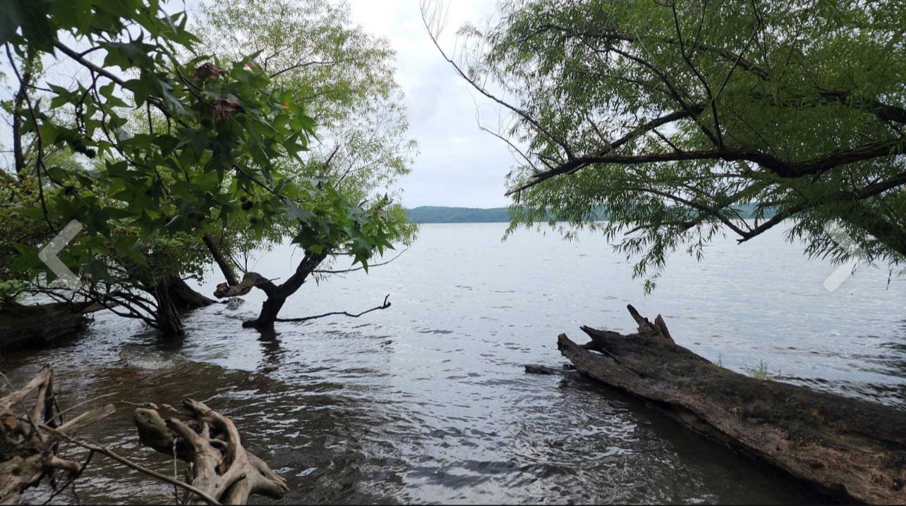 0 Bear Creek Road Waverly, TN 37185 - Photo 2 of 8