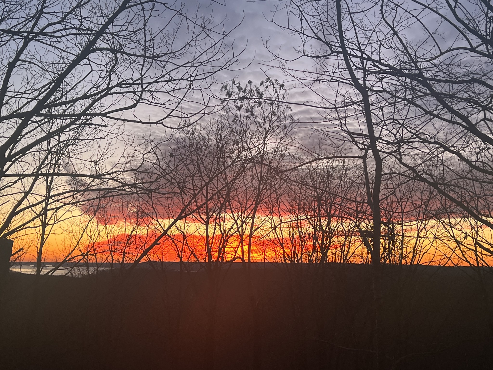 0 Bear Creek Road Waverly, TN 37185 - Photo 6 of 8