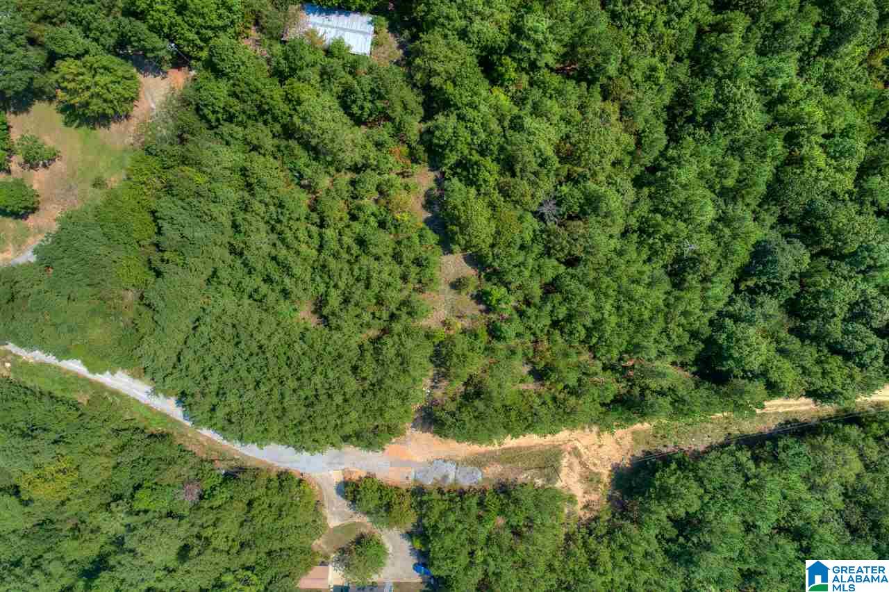 255 Lakeside Lane Alpine, AL 35014 - Photo 10 of 12