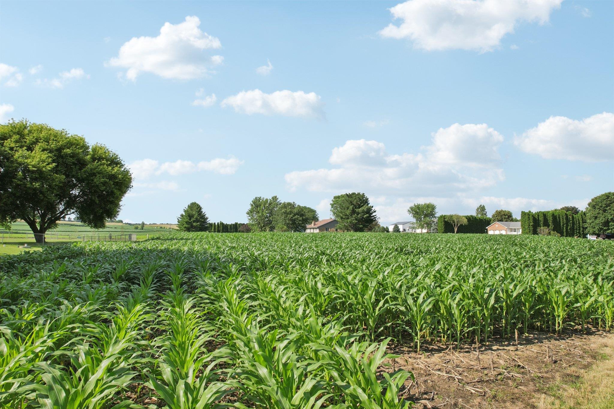 Lot 4 Hickory Run Waunakee, WI 53597 - Photo 14 of 28