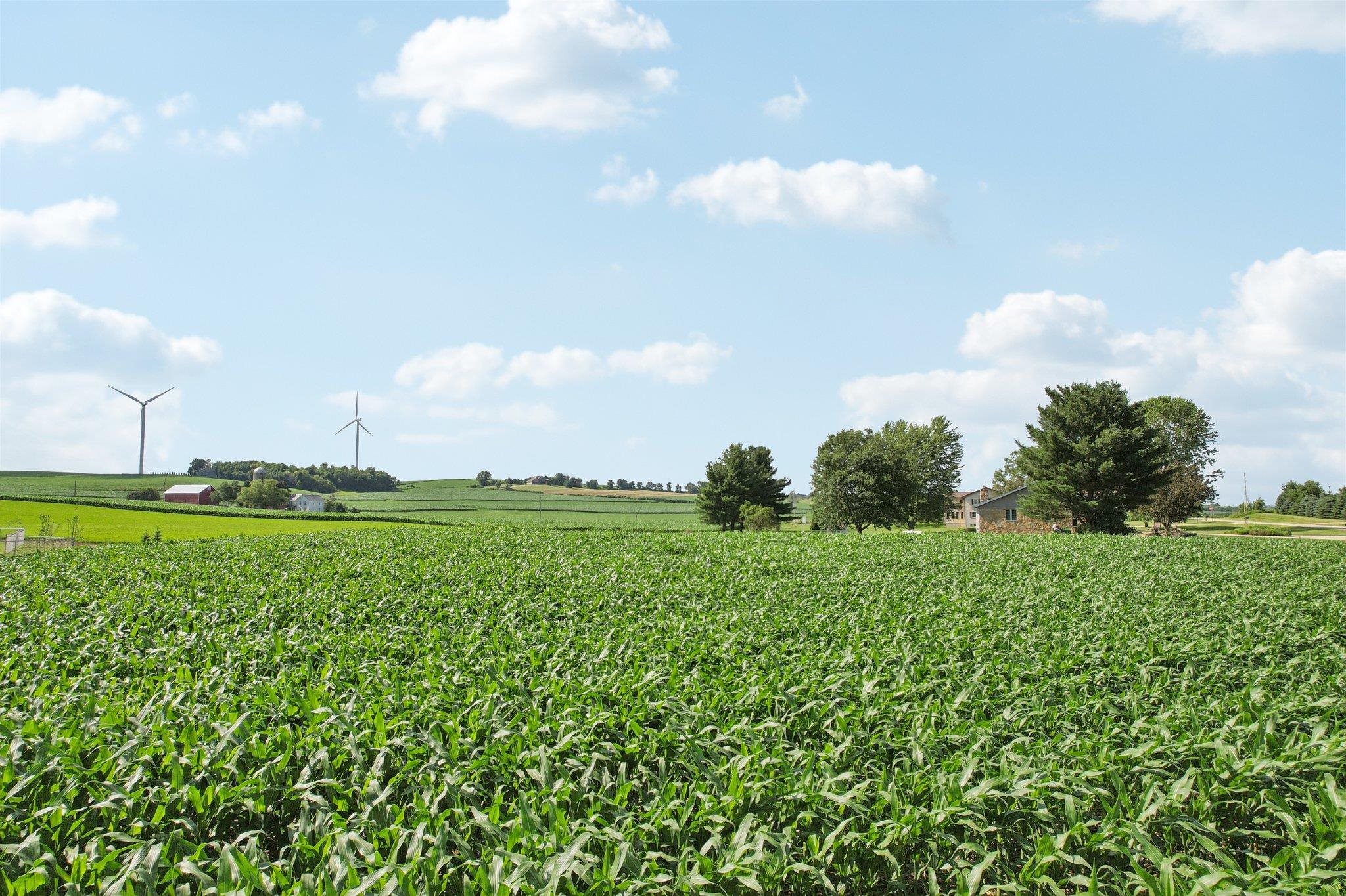 Lot 4 Hickory Run Waunakee, WI 53597 - Photo 15 of 28