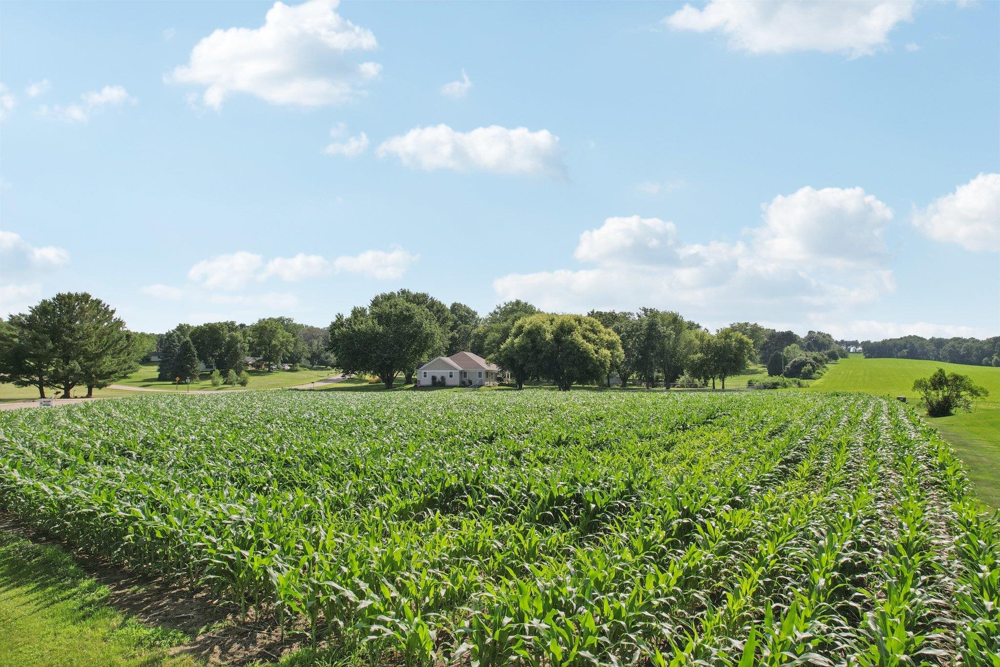 Lot 4 Hickory Run Waunakee, WI 53597 - Photo 16 of 28
