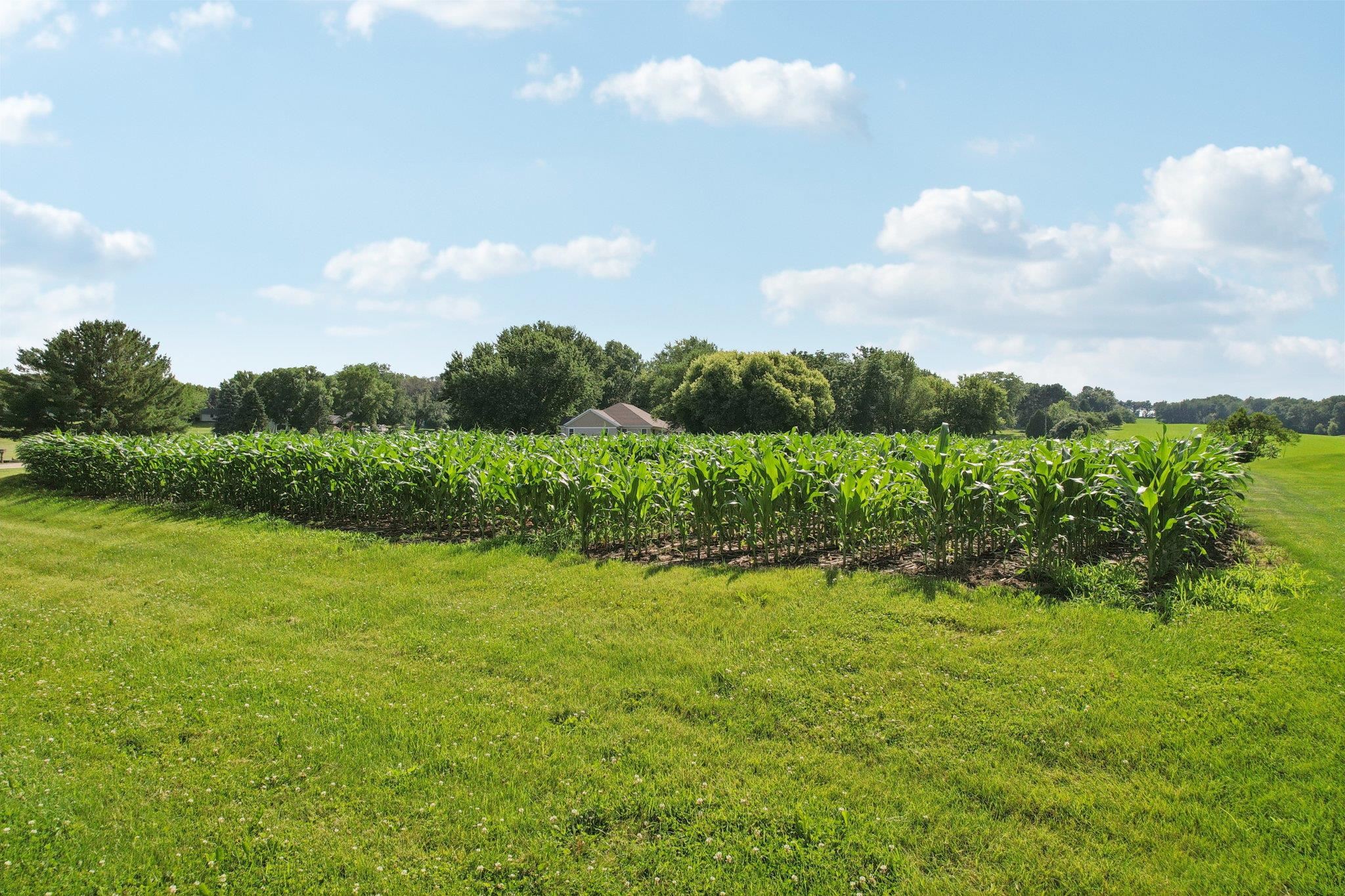 Lot 4 Hickory Run Waunakee, WI 53597 - Photo 17 of 28