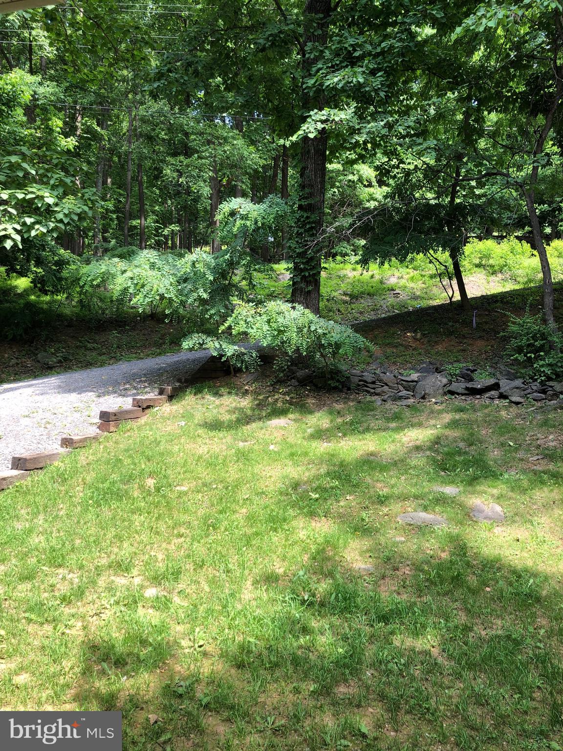 997 Wilderness Road Linden, VA 22642 - Photo 60 of 61 Driveway
