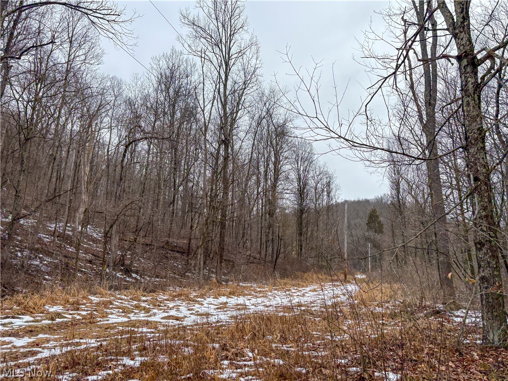 0 Tract 4 Twp Road Woodsfield, OH 43793 - Photo 24 of 34