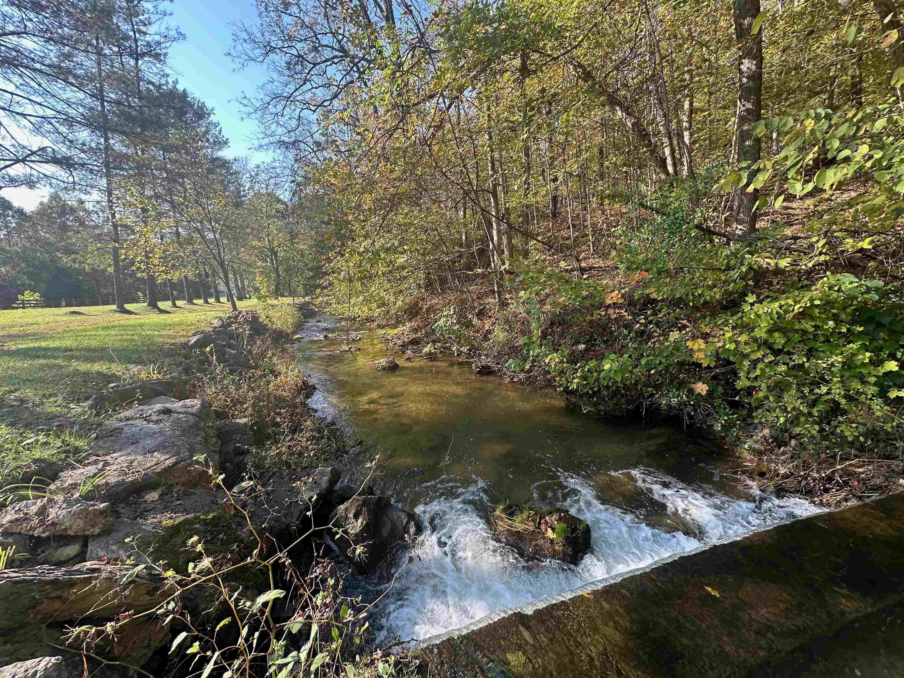 352 Tye River Turnpike Raphine, VA 24472 - Photo 54 of 64