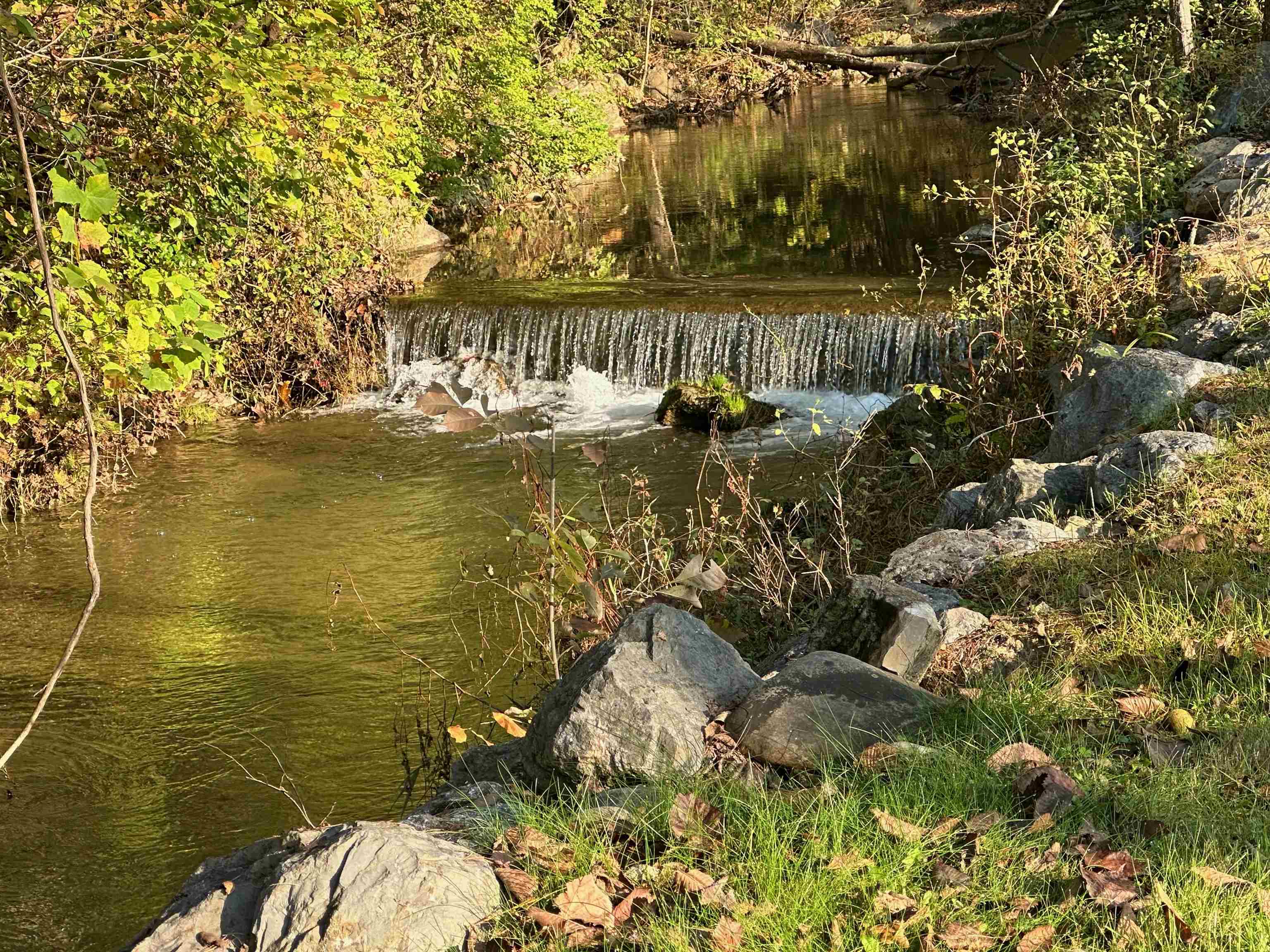 352 Tye River Turnpike Raphine, VA 24472 - Photo 55 of 64