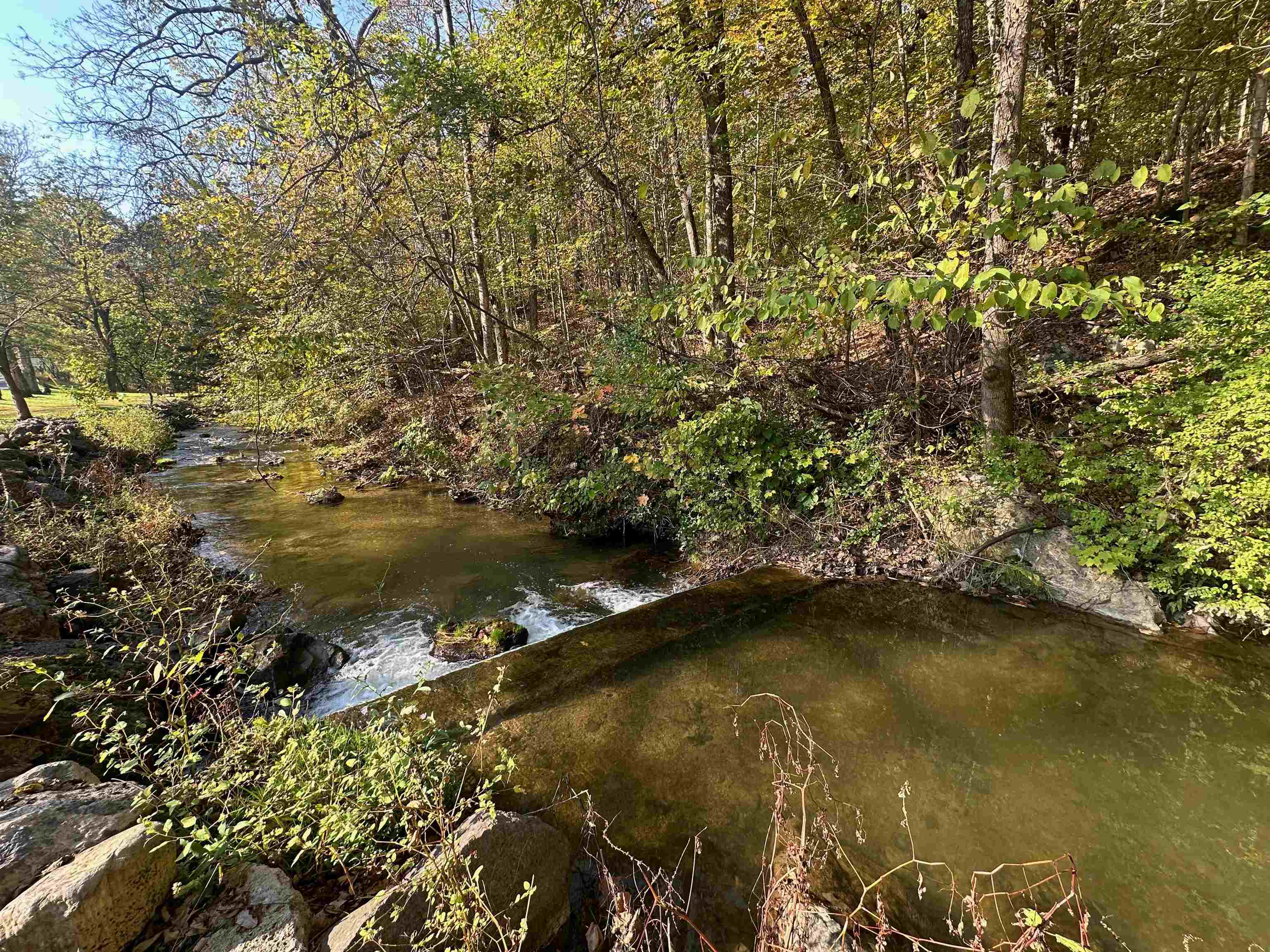 352 Tye River Turnpike Raphine, VA 24472 - Photo 56 of 64