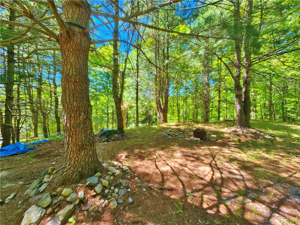 613 East Lake Road Penn Yan, NY 14527 - Photo 12 of 35