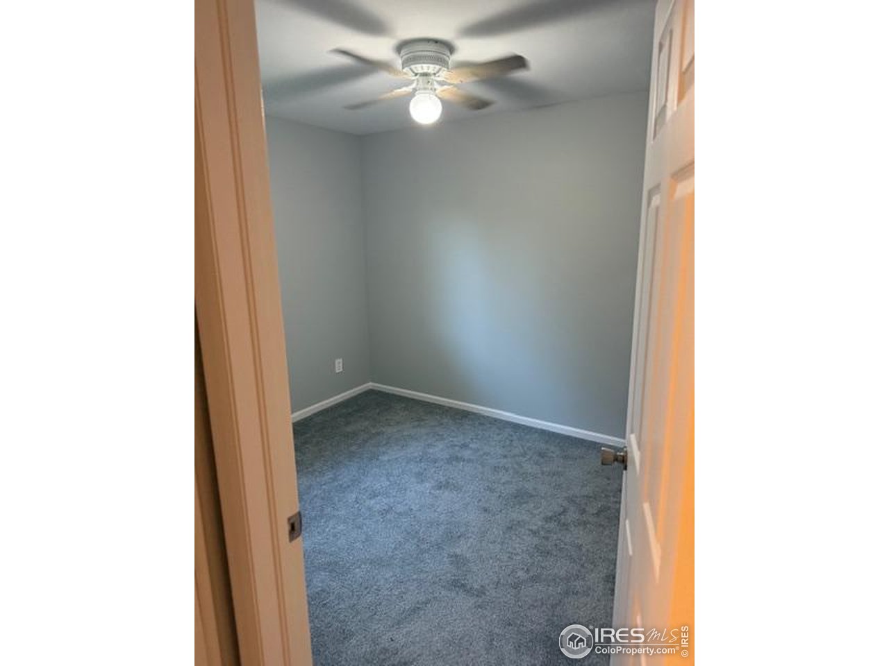 4436 Hollyhock Street Fort Collins, CO 80526 - Photo 11 of 19 Bedroom 2- Upper level