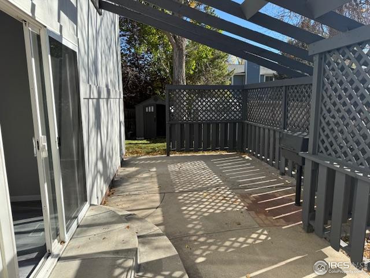 4436 Hollyhock Street Fort Collins, CO 80526 - Photo 16 of 19
