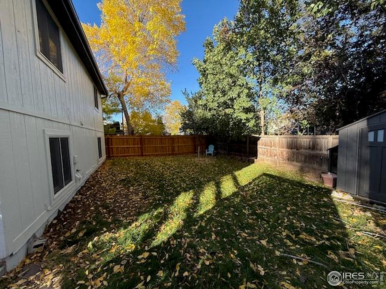 4436 Hollyhock Street Fort Collins, CO 80526 - Photo 17 of 19