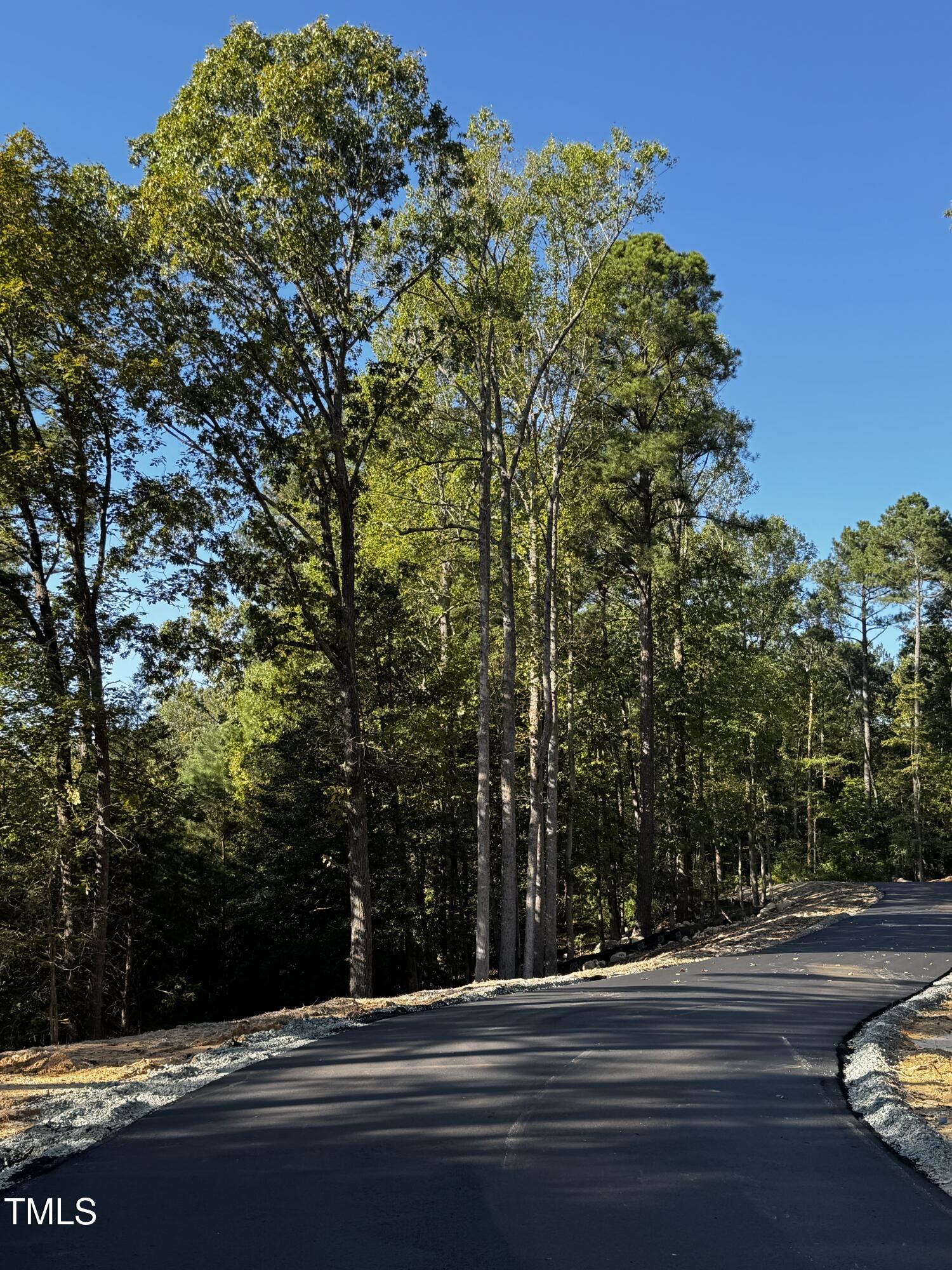 140 Noble Reserve Way Pittsboro, NC 27312 - Photo 1 of 13 a view of street along with trees