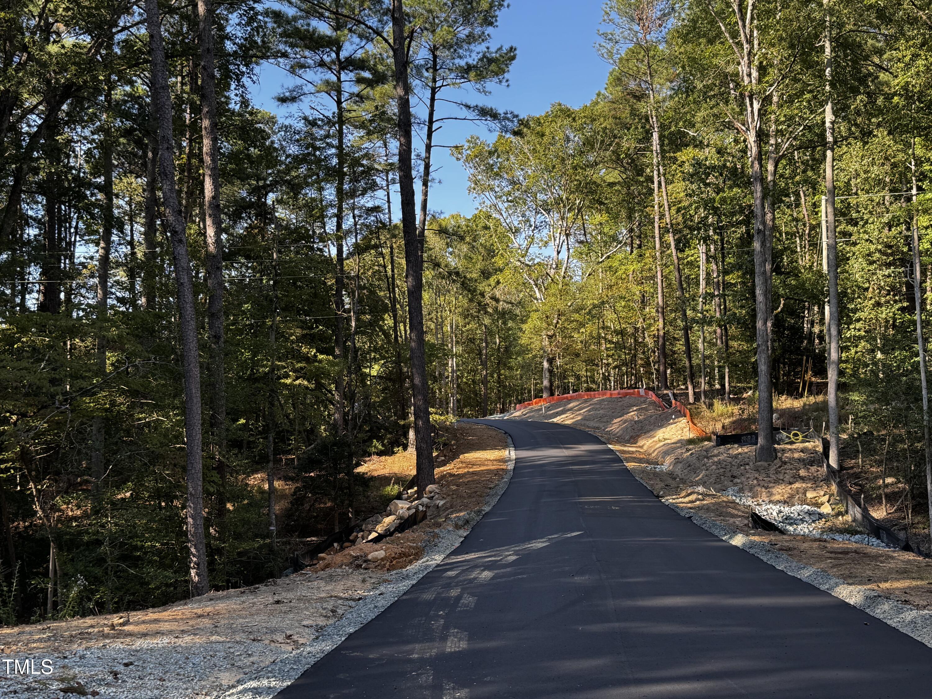 140 Noble Reserve Way Pittsboro, NC 27312 - Photo 2 of 13 a view of a yard with plants and trees