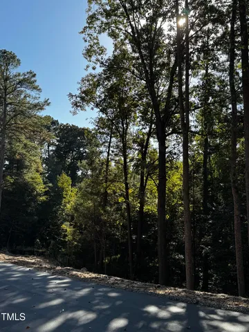 a view of a road with trees
