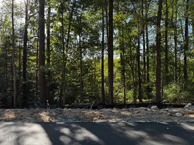 a view of a yard with plants and trees