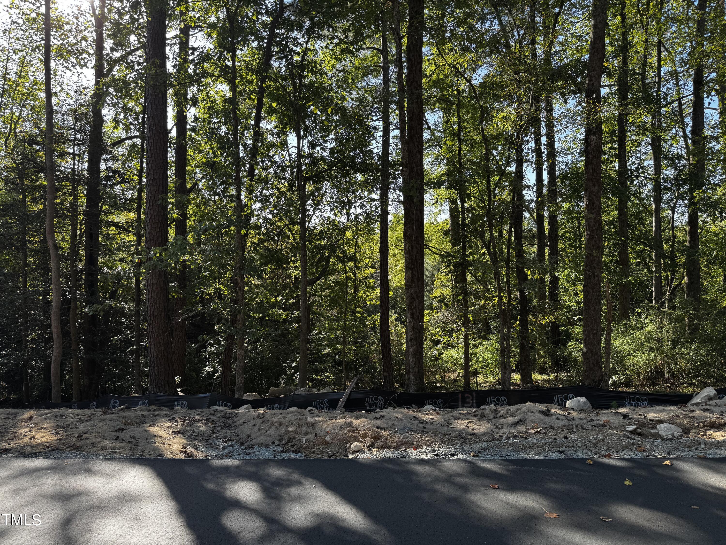 140 Noble Reserve Way Pittsboro, NC 27312 - Photo 4 of 13 a view of a road with trees