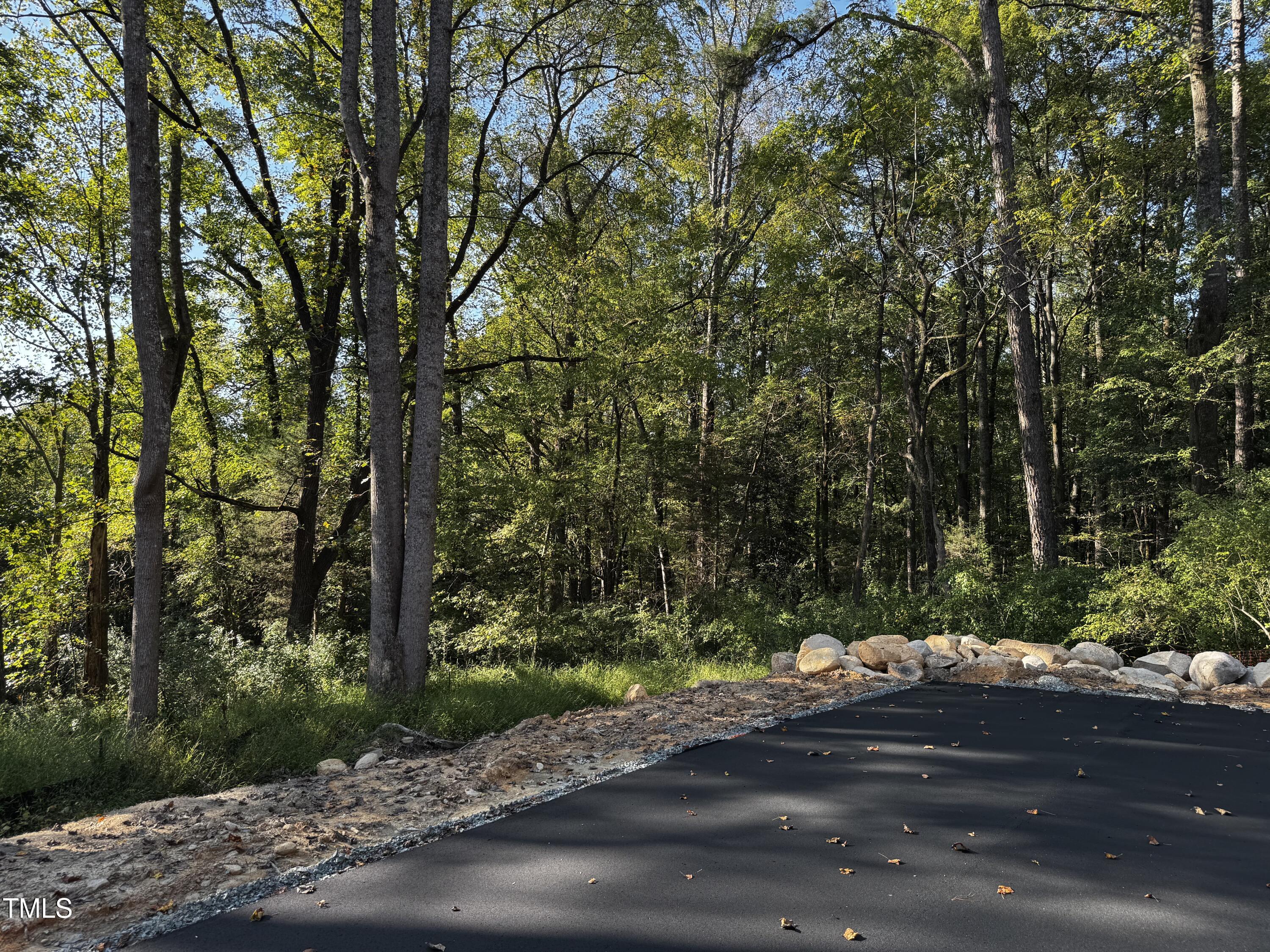 140 Noble Reserve Way Pittsboro, NC 27312 - Photo 5 of 13 a view of a yard with plants and trees