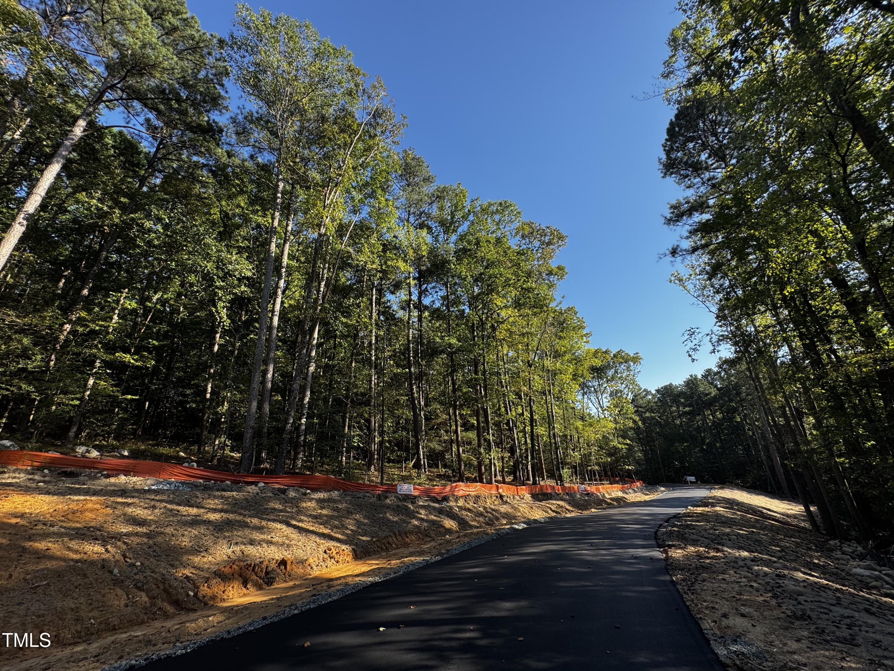 140 Noble Reserve Way Pittsboro, NC 27312 - Photo 6 of 13 a view of a yard with plants and trees