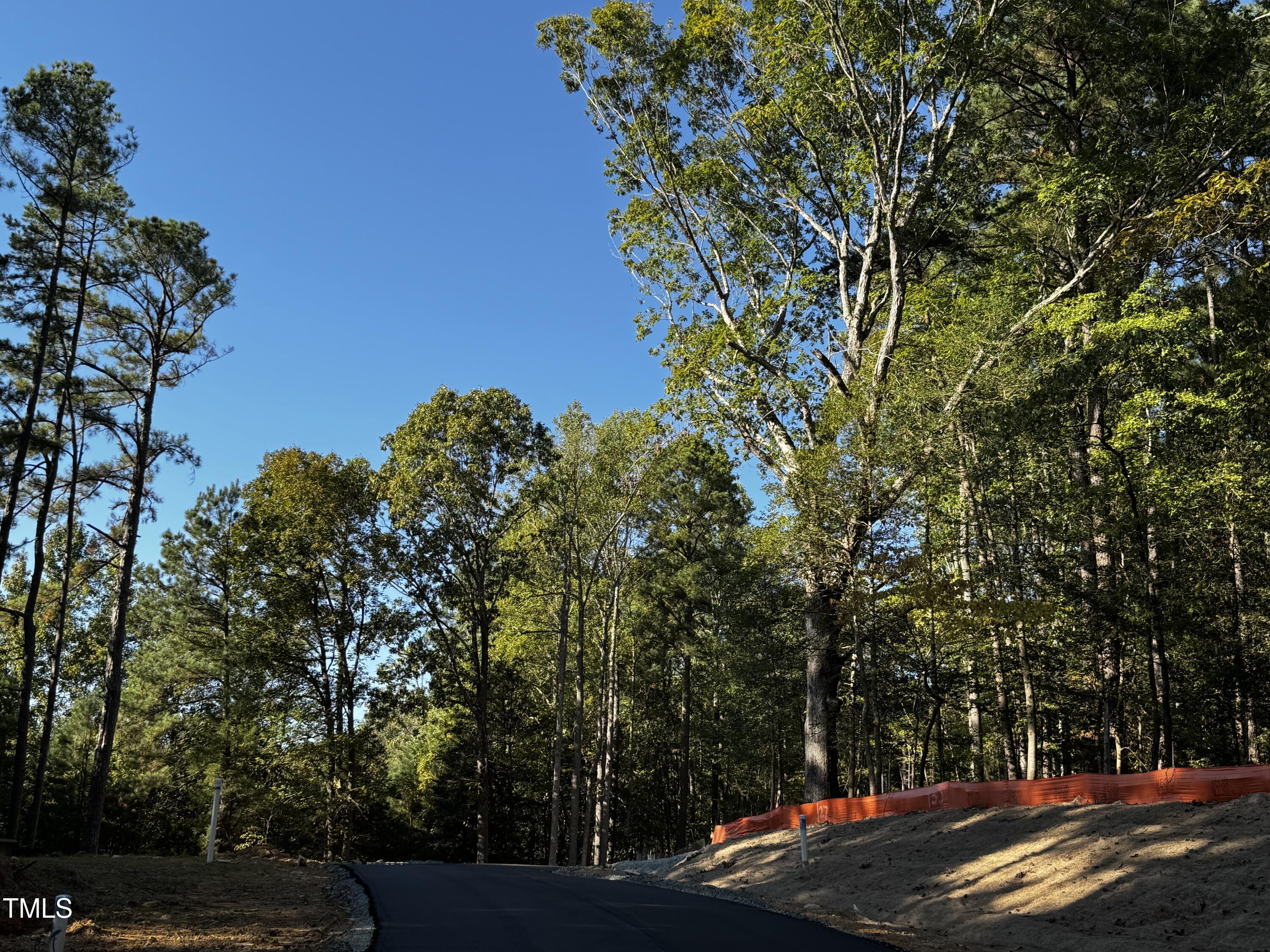 140 Noble Reserve Way Pittsboro, NC 27312 - Photo 7 of 13