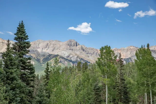 $1,750,000 | Tbd Tbd, Telluride, CO 81435
