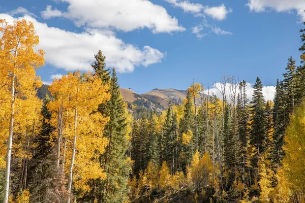 $1,750,000 | Tbd Tbd, Telluride, CO 81435