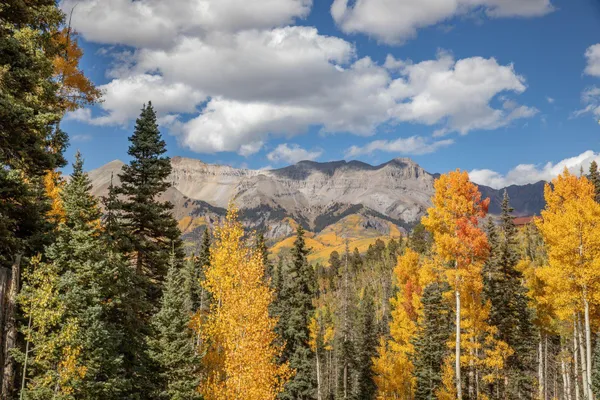 $1,750,000 | Tbd Tbd, Telluride, CO 81435