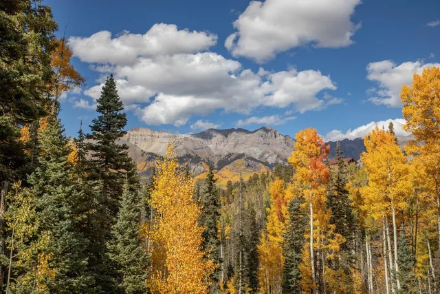 $1,750,000 | Tbd Tbd, Telluride, CO 81435