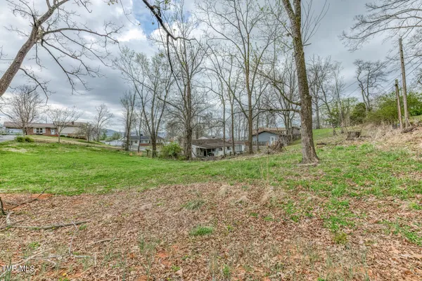 $234,000 | 441 Mimosa Street, Mount Carmel, TN 37645