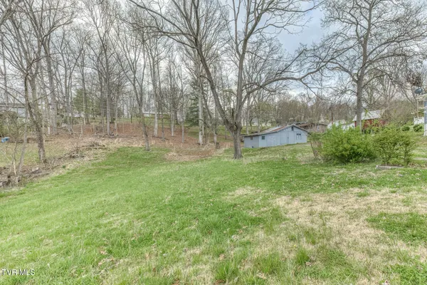 $234,000 | 441 Mimosa Street, Mount Carmel, TN 37645