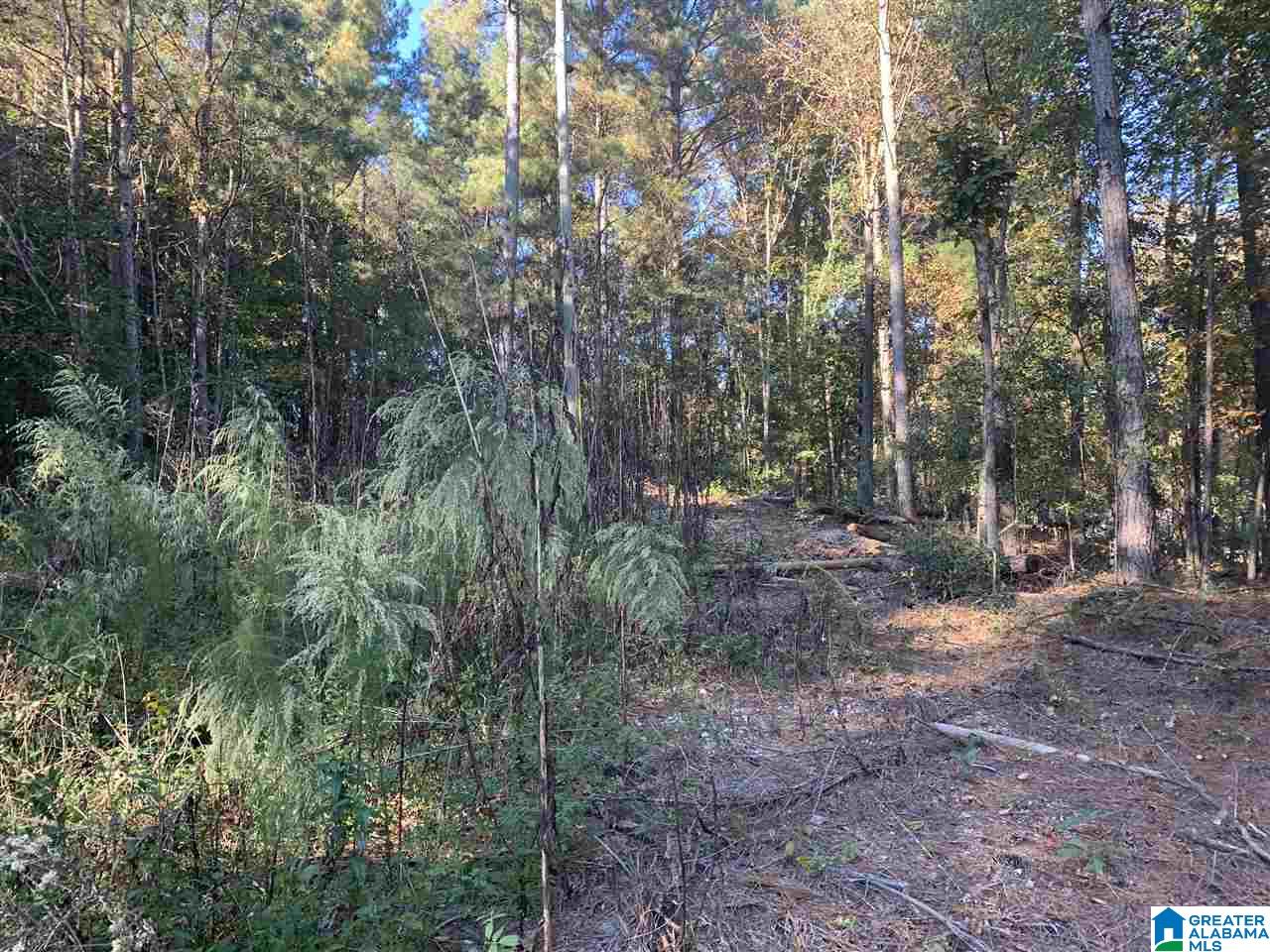 2555 Evergreen Road, Unit 1 Springville, AL 35146 - Photo 1 of 6