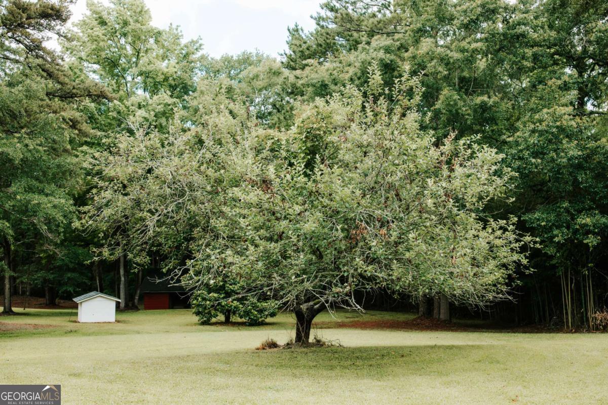 764 Sandy Cross Road Lexington, GA 30648 - Photo 49 of 52