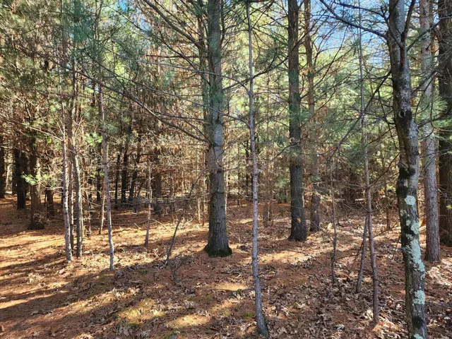 $159,900 | 1626 8th Drive, Friendship, WI 53934