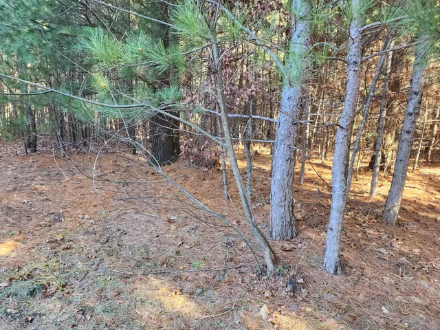 $159,900 | 1626 8th Drive, Friendship, WI 53934