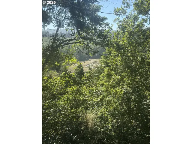 a room with wooden floor and furniture