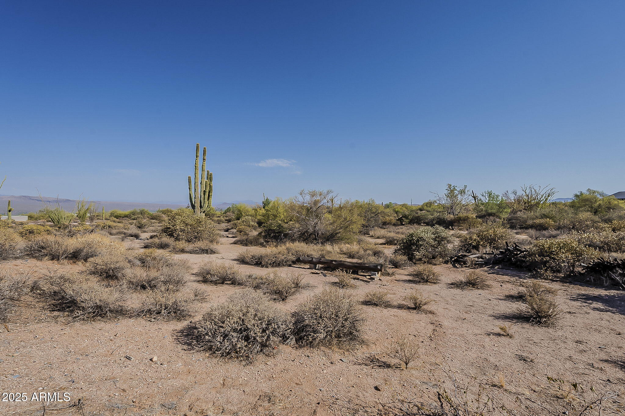 17133 East Lone Mountain Road Rio Verde, AZ 85263 - Photo 45 of 55 Backyard