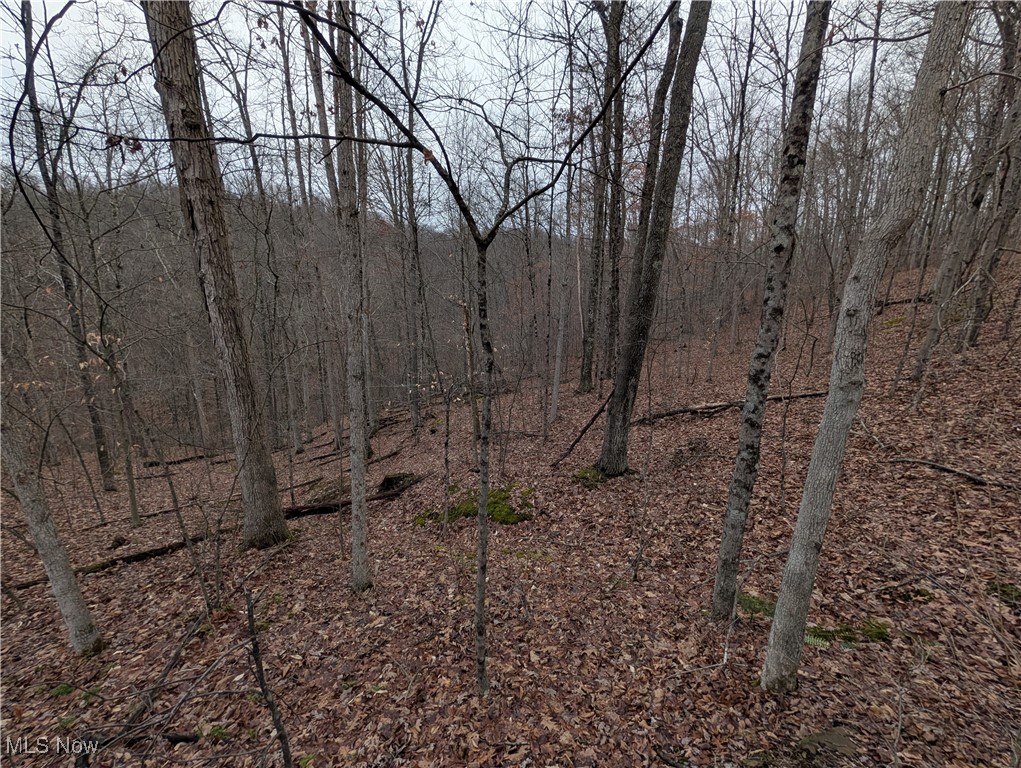 Brown Peavine Road Alledonia, OH 43902 - Photo 21 of 50